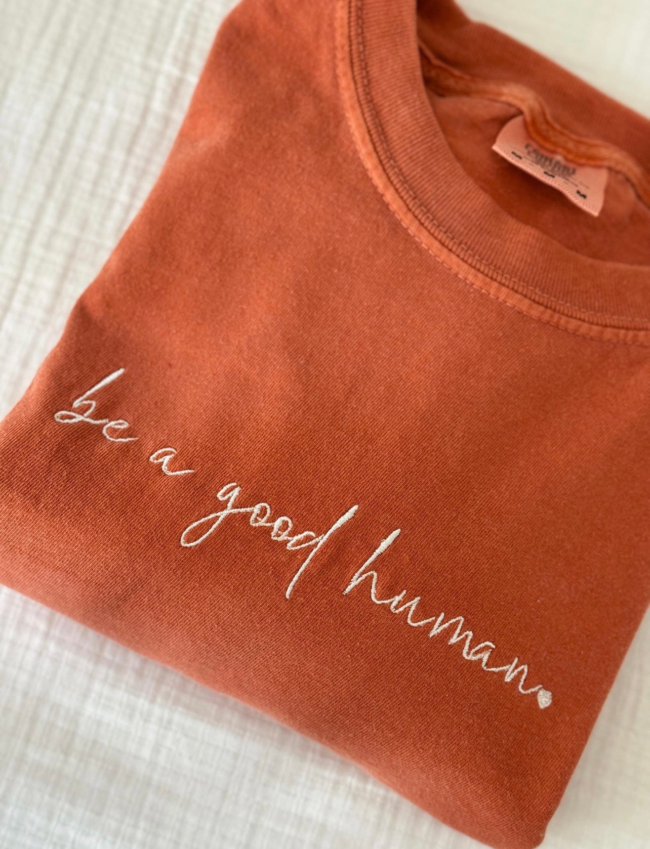 Be a Good Human Shirt